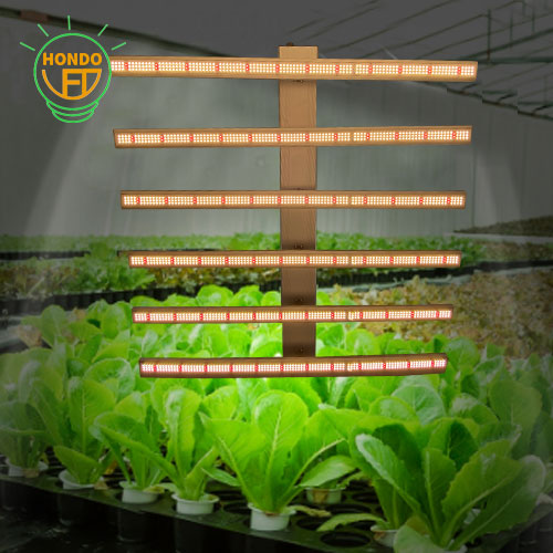The History of the LED Grow Light