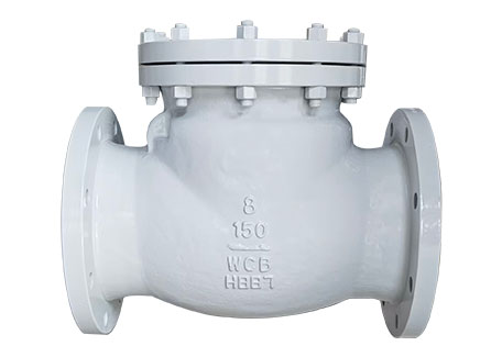 Components of A Swing Check Valve