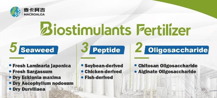 Top Biostimulant Recommendations for China's Agriculture Industry